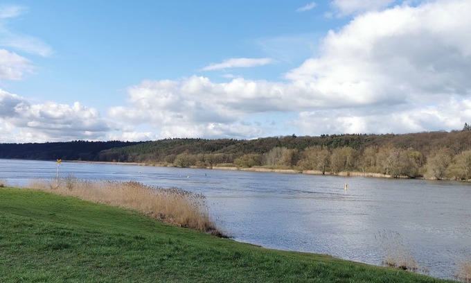 Artlenburg House | 6P wooden house + garden on the Elbe dike | modern, close to nature, family & dog-friendly