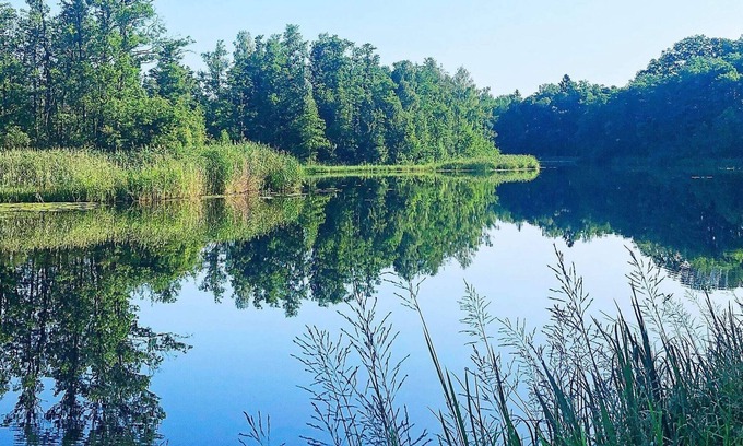 Hogsby House | 7 person holiday home in HÖGSBY