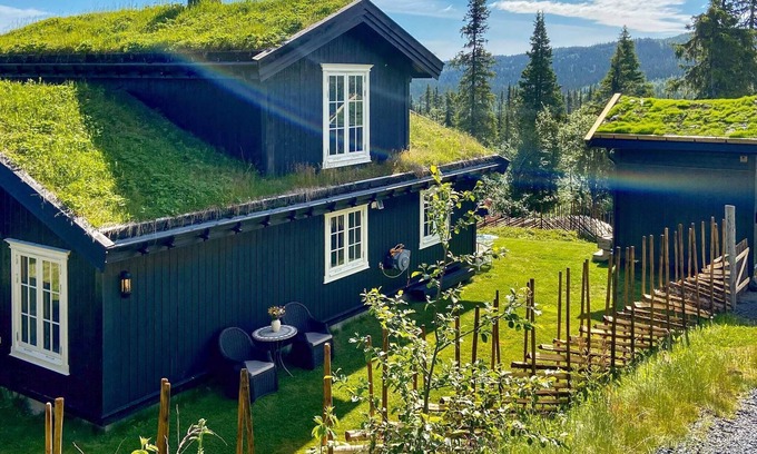 Sor-Aurdal House | 8 person holiday home in Reinli