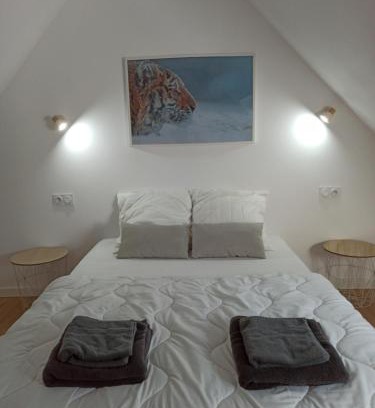 Saint-Aignan House | A 4 min du Zoo de Beauval La Maison à Partager Ch4 2ème étage