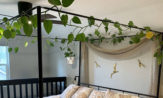 Southeast Salem Cottage | A Cozy Place to Land