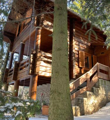 Bukkaranyos Ski Chalet | A fák ölelése vendégház