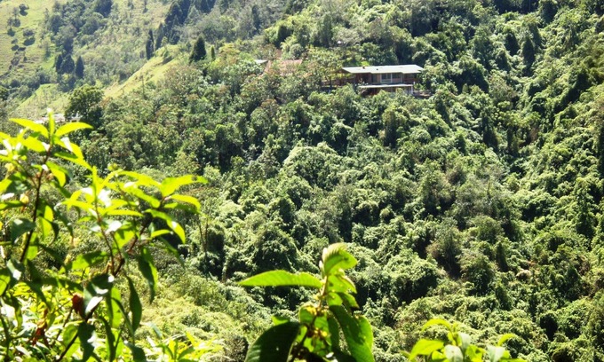 Calacali Bed & Breakfast | Abundant and peaceful nature in the vicinity of Quito