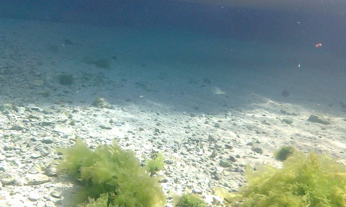 Torre Suda Apartment | Accommodation 50 mt. from the sea, 5 minutes from Gallipoli and the Salentine Maldives