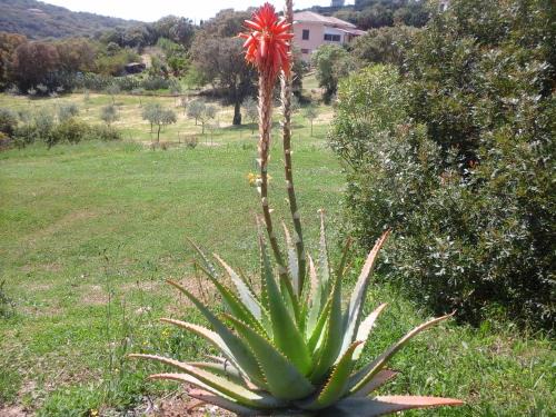 Alghero House | Affittacamere Valverde di Naitana Rita