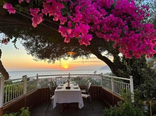 Agios Gordios Apartment | Agios Gordios Stevens on the hill