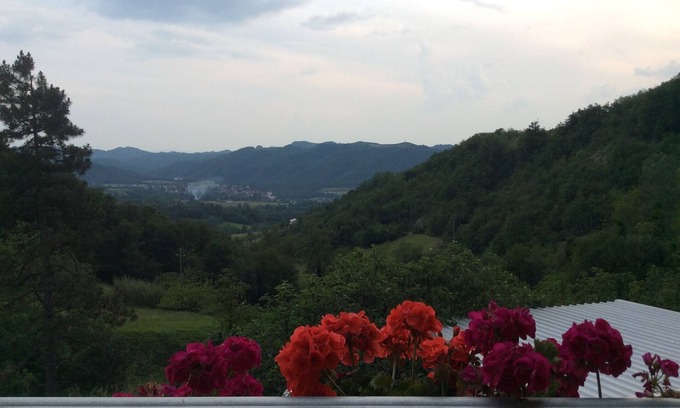 Cartosio Other | Agritourism and Cantina del buon dormire "Il Tesoro di MiRo "bio