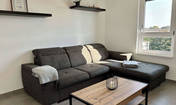 Illkirch-Graffenstaden Apartment | Air-conditioned Apartment with terrace