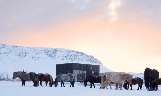 Sveitarfelagid Olfus House | Akurgerði Guesthouse 6 - Country Life Style
