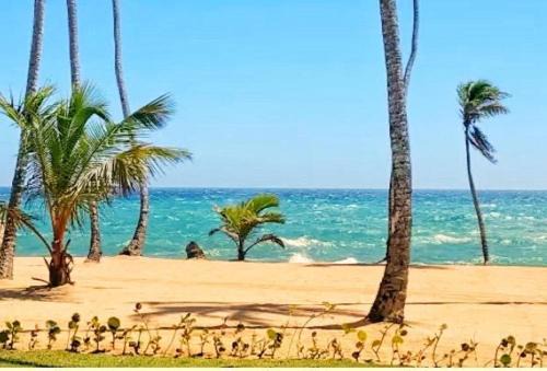 Yamasa Apartment | Albatros club resort