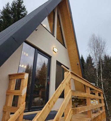 Dambovicioara Ski Chalet | Altundeva la munte