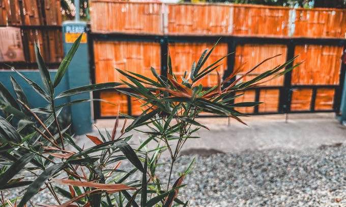 Bagac House | Amakan Beachside Retreat, Pet-Friendly & Modern! 1-2 Minutes Walk To Beach