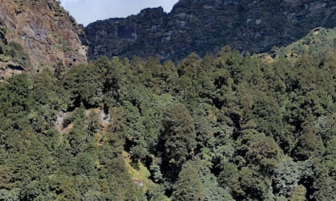 Dugalbitta Hotel | Amar Resort Chopta Tungnath