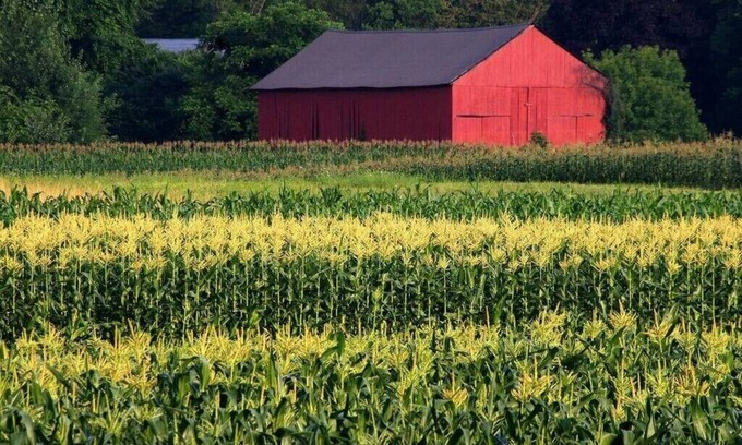 Hadley House | Amherst, Perfect Location, UMass, Smith, MHC!