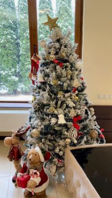 Poiana Tapului Villa | AMK House - Busteni