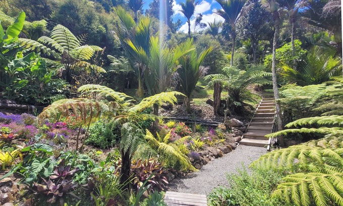 Whitianga Bed & Breakfast | Annabells Bed and Breakfast