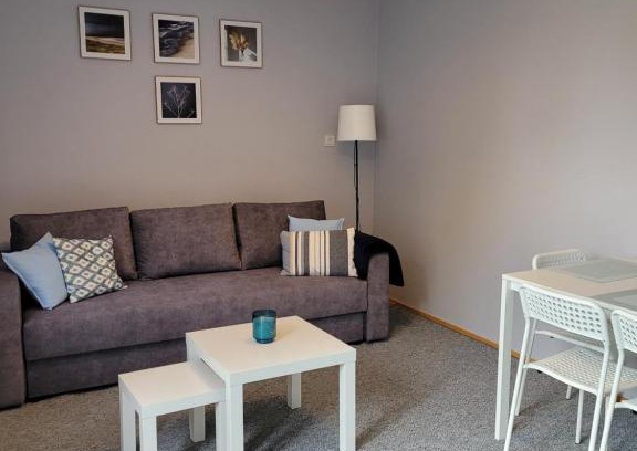 Lancut Apartment | Apartament City Center