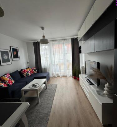 Piecki-Migowo Apartment | Apartament Gdańsk, darmowy parking prywatny