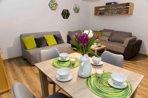 Zywiec Apartment | Apartament Grapa