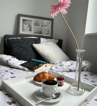 Jedlina-Zdroj Apartment | Apartament Jedlinka