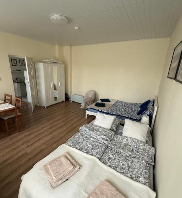 Chorzow Apartment | Apartament u Tereni