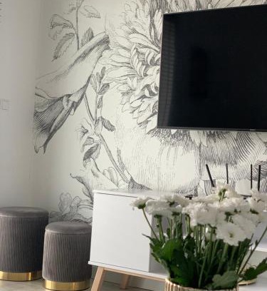 Slupsk Apartment | Apartament w Słupsku z klimatyzacją balkonem parkingiem