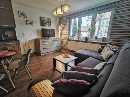 Ustron Apartment | Apartament W SERCU USTRONIA