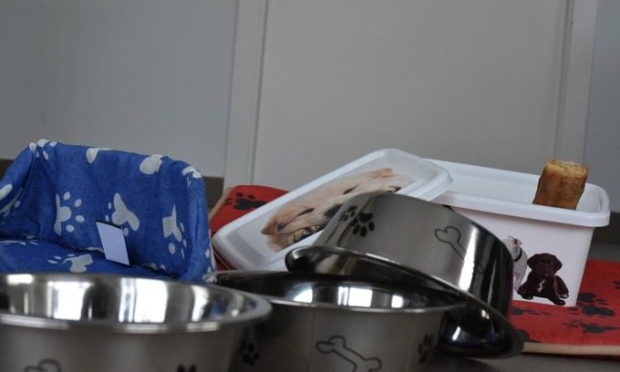 Casar de Caceres Apartment | Apartamento Barbancho