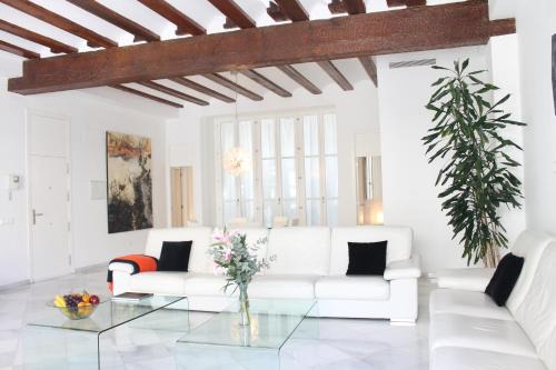 Ciutat Vella Apartment | Apartamento Reina Catedral