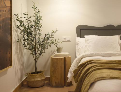 Tarazona Apartment | Apartamento Tarazona Centro