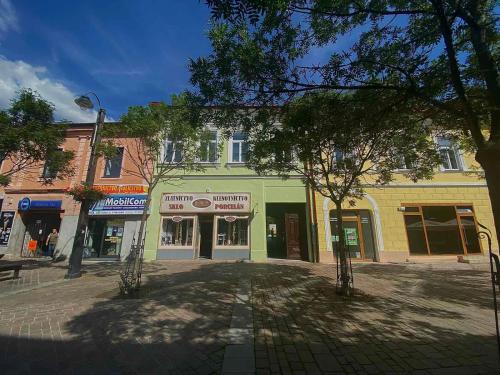 Liptovsky Mikulas Apartment | Apartmán Selina-centrum