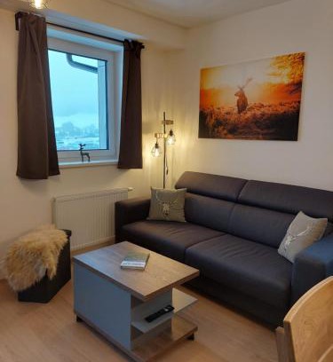 Loucna Pod Klinovcem Apartment | Apartmán U Jelena