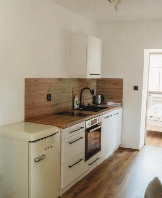 Josefov Dul Apartment | Apartmány Borovice