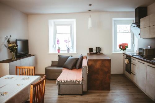 Podnanos Apartment | Apartma Moser