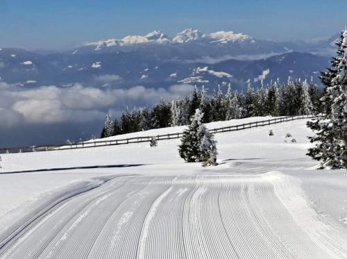 Ribnica na Pohorju Apartment | Apartmaji Koželj