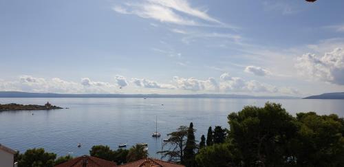 Donja luka Apartment | Apartman Petra