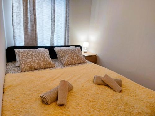 Hradec Kralove Apartment | Apartment ČSA #7 in the Historic Center Hradec Králové