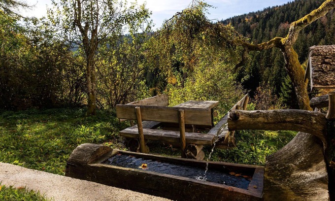 Klaffer am Hochficht Apartment | Apartment 7 Stinglfelsen - Forsthaus Apartments - In the middle of the ski area