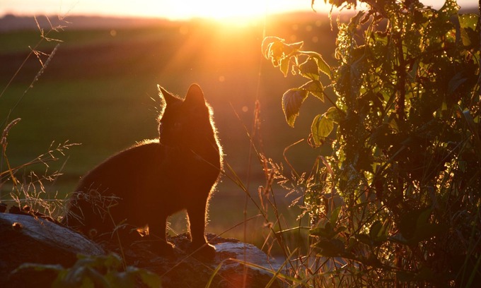 Amtzell Apartment | Apartment “Bergblick” on Farm with Mountain View, Wi-Fi, Balcony & Garden