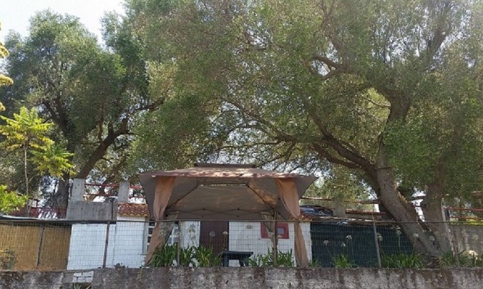 Palinuro House | APARTMENT/COTTAGE IN THE CENTER