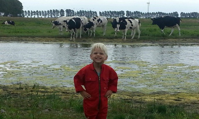 Hoofdplaat Apartment | Apartment De Graanzolder 5 stars Detached, farm, holiday house, sea