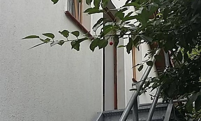 Olbersdorf Apartment | Apartment Franze