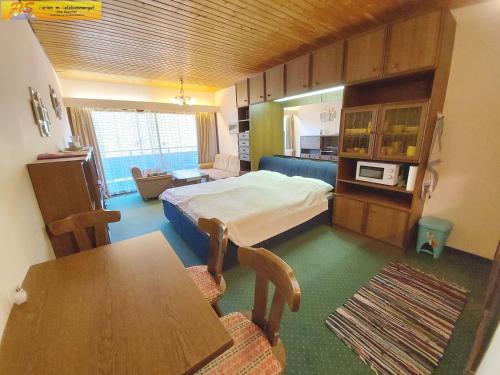Tauplitz Apartment | Apartment Mary