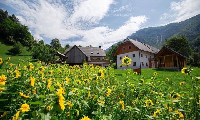 Lom pod Storzicem House | Apartment Storman - Apartment Janez