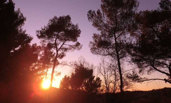 Le Tholonet Apartment | Apartment with pool in a villa close to Mont Sainte Victoire