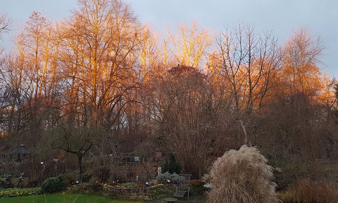 Wabe-Schunter-Beberbach Apartment | Apartment with roof terrace in the countryside