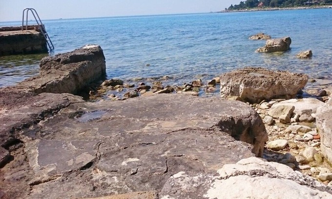 Krizine Apartment | Apartments Majda, (15047), Umag, hr