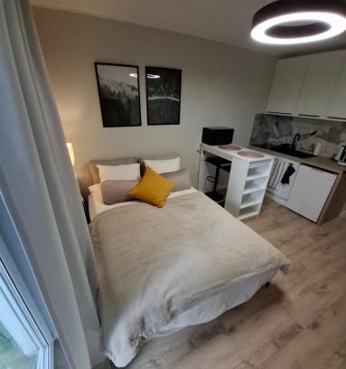 Nowe Miasto Apartment | Apartments Poznań City lux