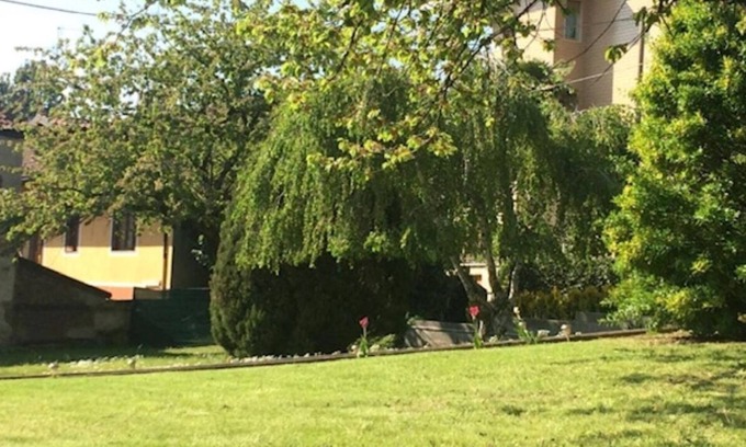 Moncalieri Apartment | APPARTAMENTO I CILIEGI