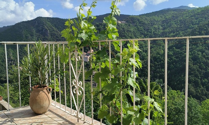Sant'Andrea-di-Bozio Apartment | Appartement 35m² Avec Balcon vu sur la Nature !